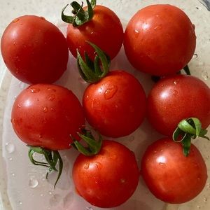 Meet your Posher, Ann